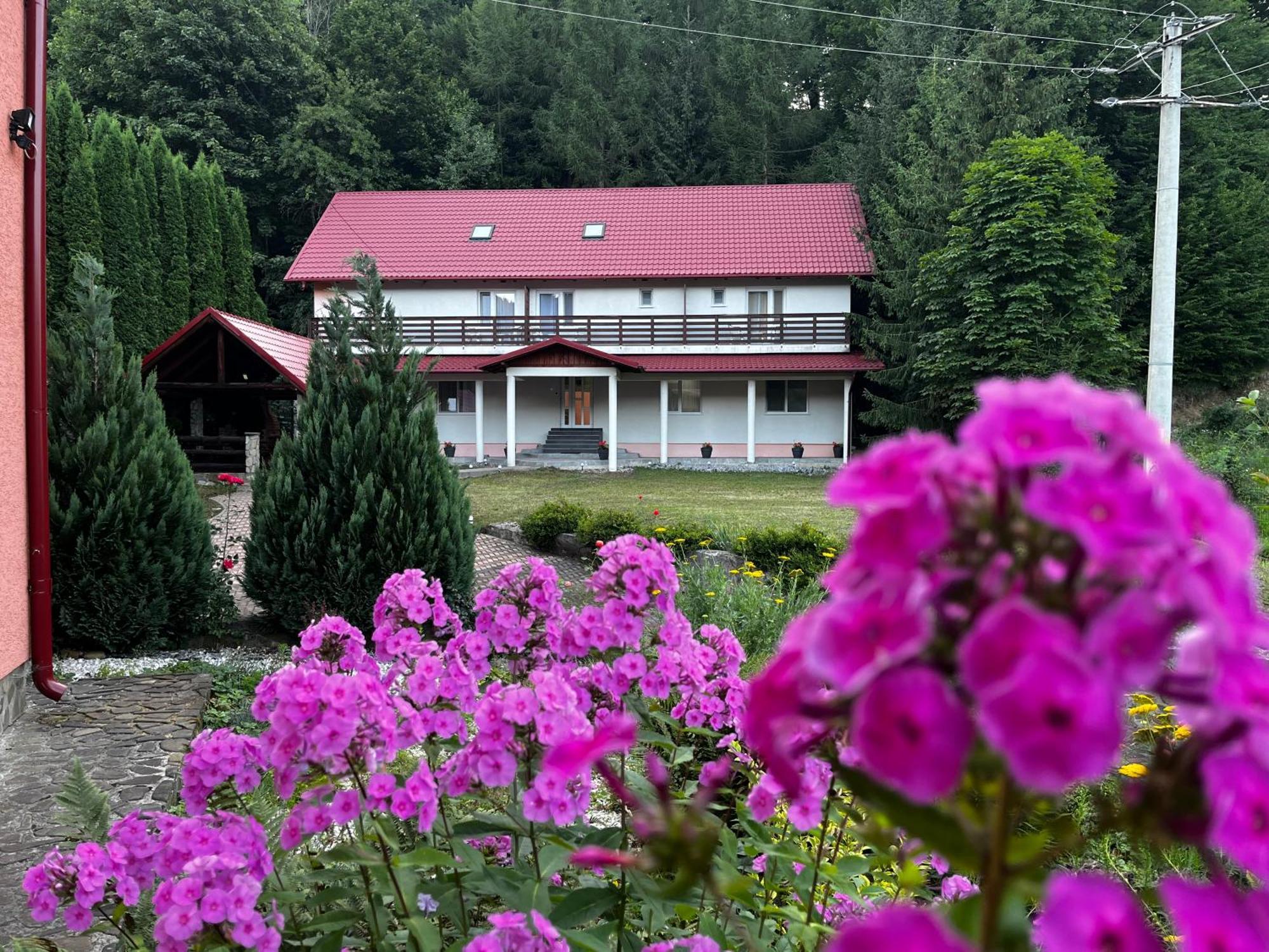 Vacation Villa Сучевица Экстерьер фото